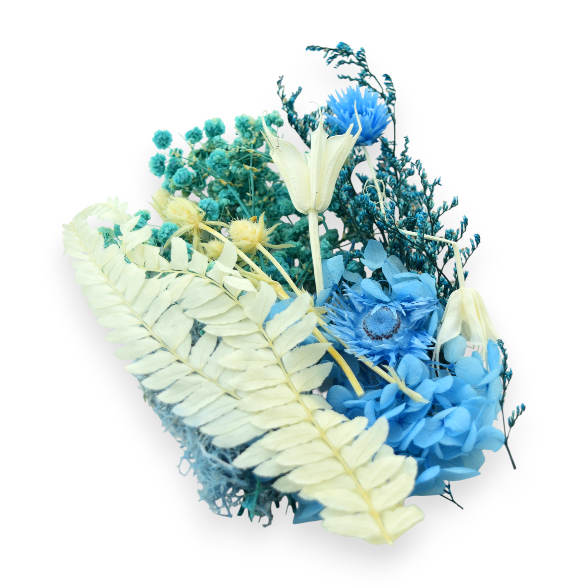 Dried Flowers - Blue